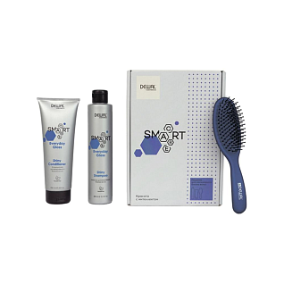 Smart Care Набор Для ежедневного блеска волос sшампунь 300 мл+кондиционер 250 мл+щетка массажная на подушке.